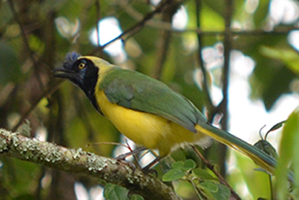 Photograph by Luis Miguel Báez Díaz