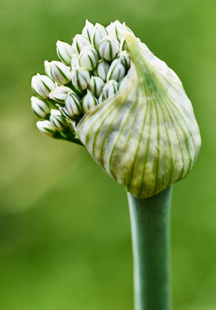 Фотография автора Святослав Романяк