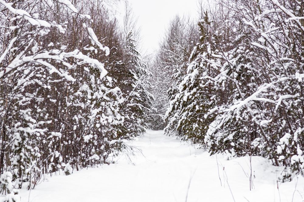 Photograph by Руслан Абдрашитов