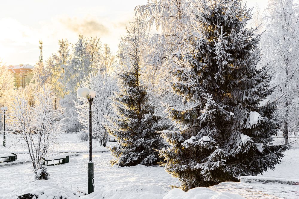 Photograph by Руслан Абдрашитов