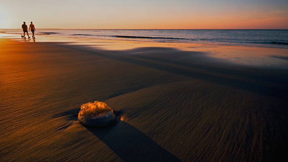 Photograph by Galina Livernette