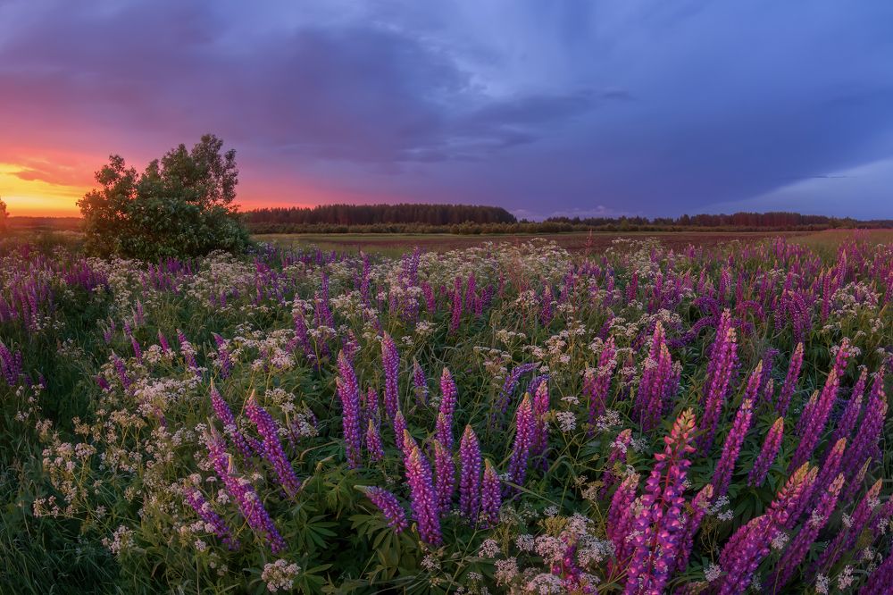 Photograph by Марина Мурашова