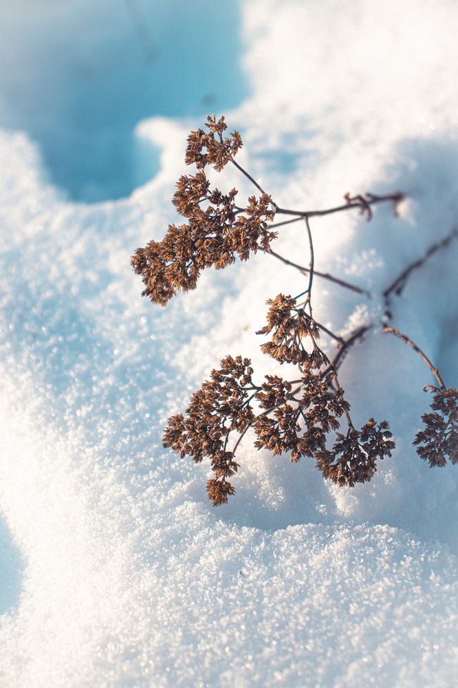 Фотография автора Daria CappuccinKo