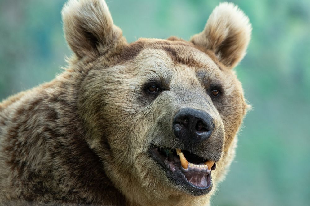 Photograph by Михаил Колесников