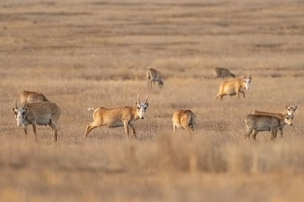 Photograph by Михаил Колесников