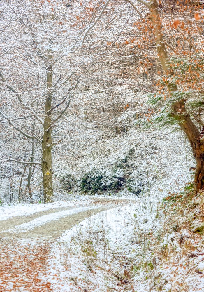 Фотография автора Leompescu Emanuel
