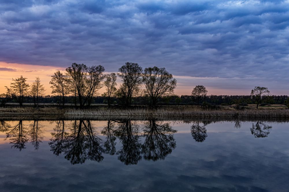 Photograph by Барабанов Алексей