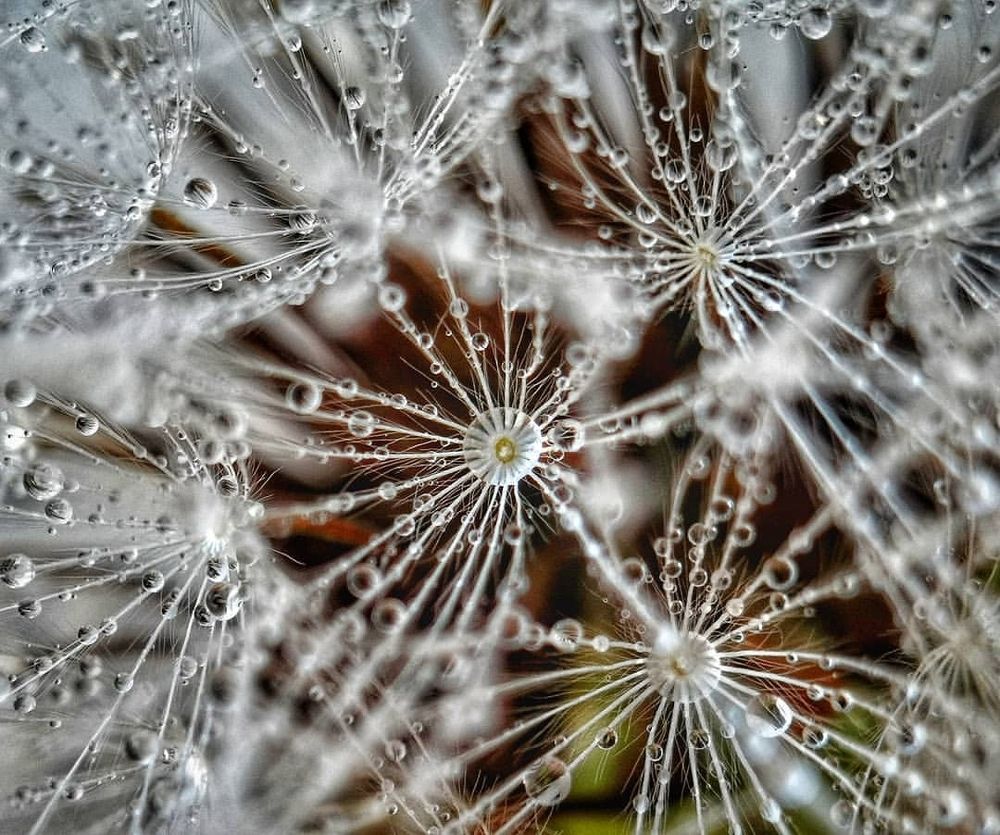 Photograph by Ali Reza Sanaei