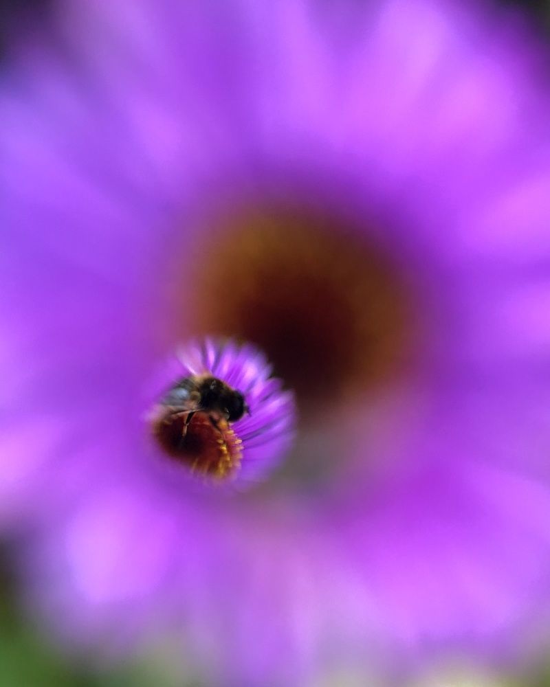 Photograph by Юлия Отставнова