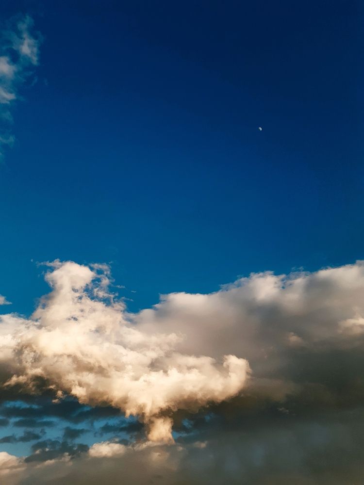 Photograph by Sarah Pouryousef