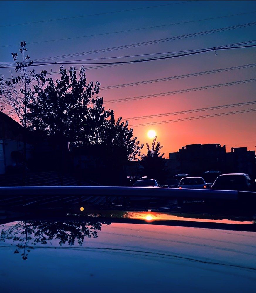 Photograph by Sarah Pouryousef