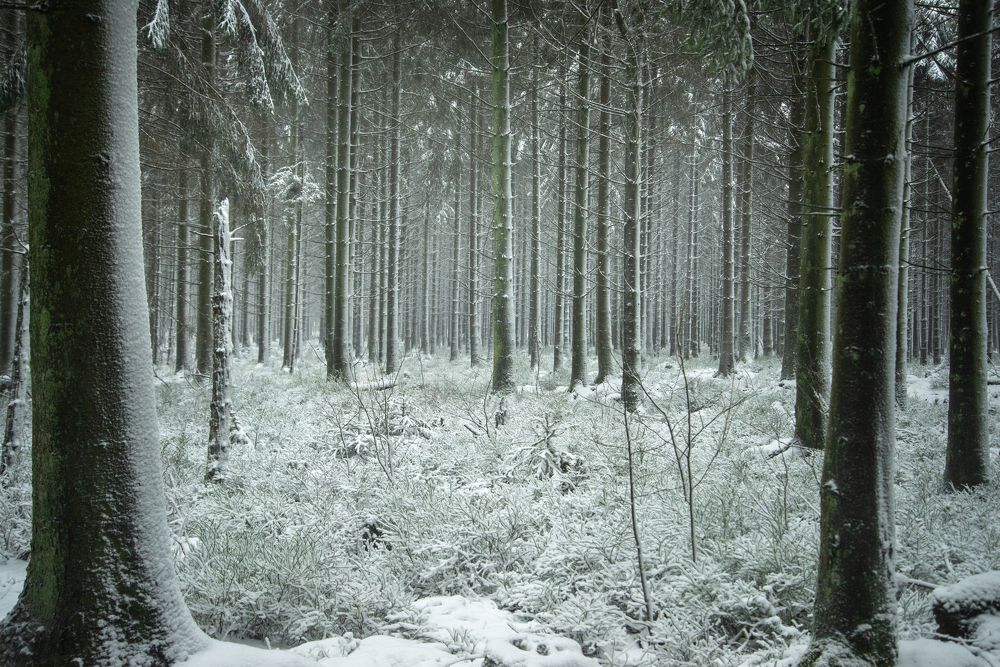 Photograph by ABHISHEK DEY