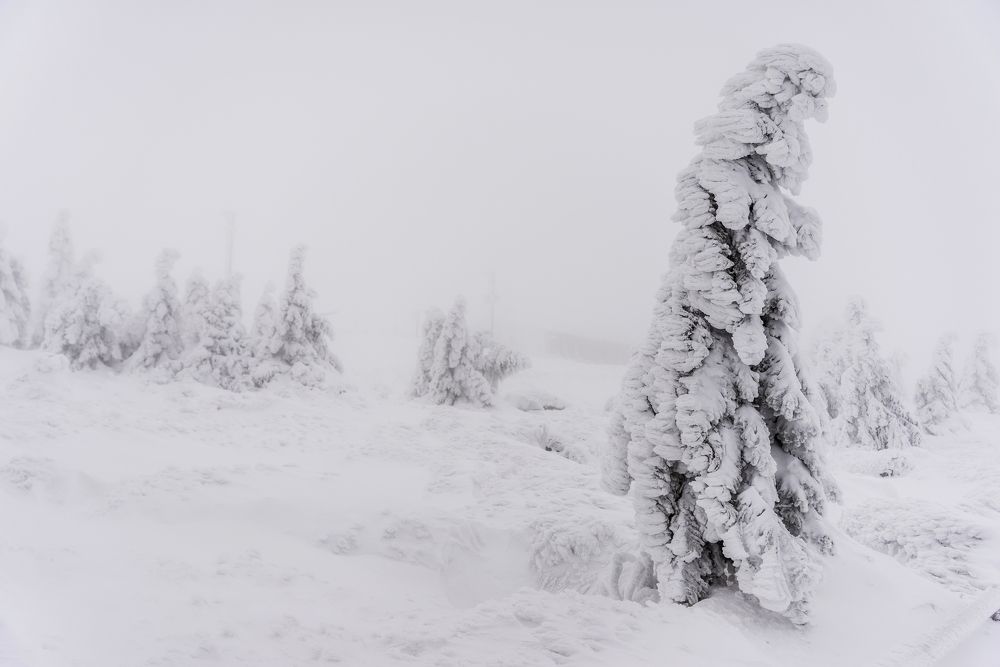 Photograph by ABHISHEK DEY