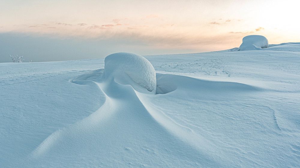 Северного ветра филигрань