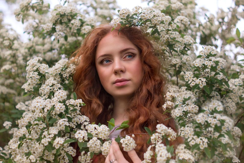 весенний ветерок