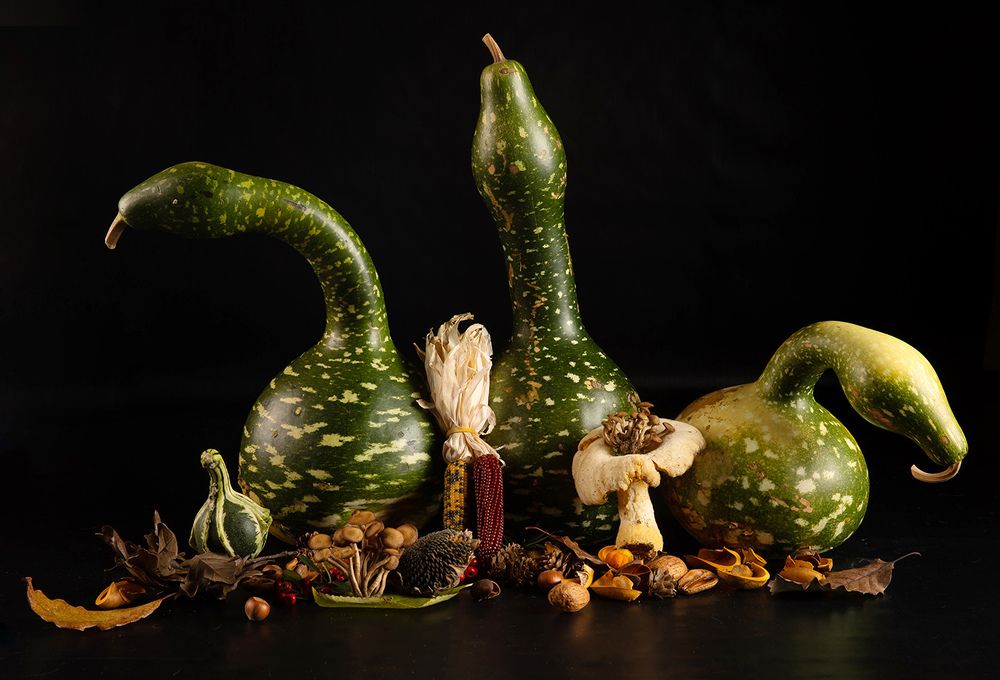 Тыквы - Дары осени