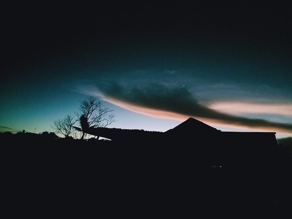 Photo #5654923
