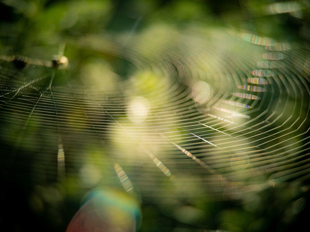 Photograph by Redenne Tadeo