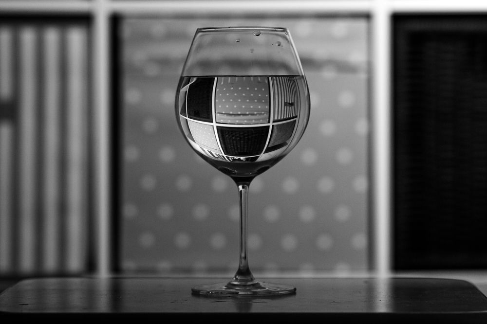 secret life of still life