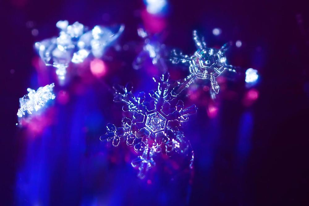 Photograph by Алексей Ловцов