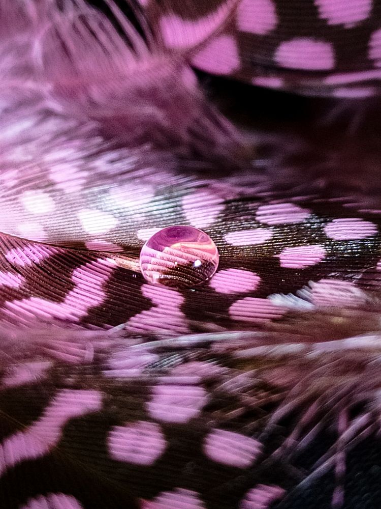 Photograph by Екатерина Зубарева