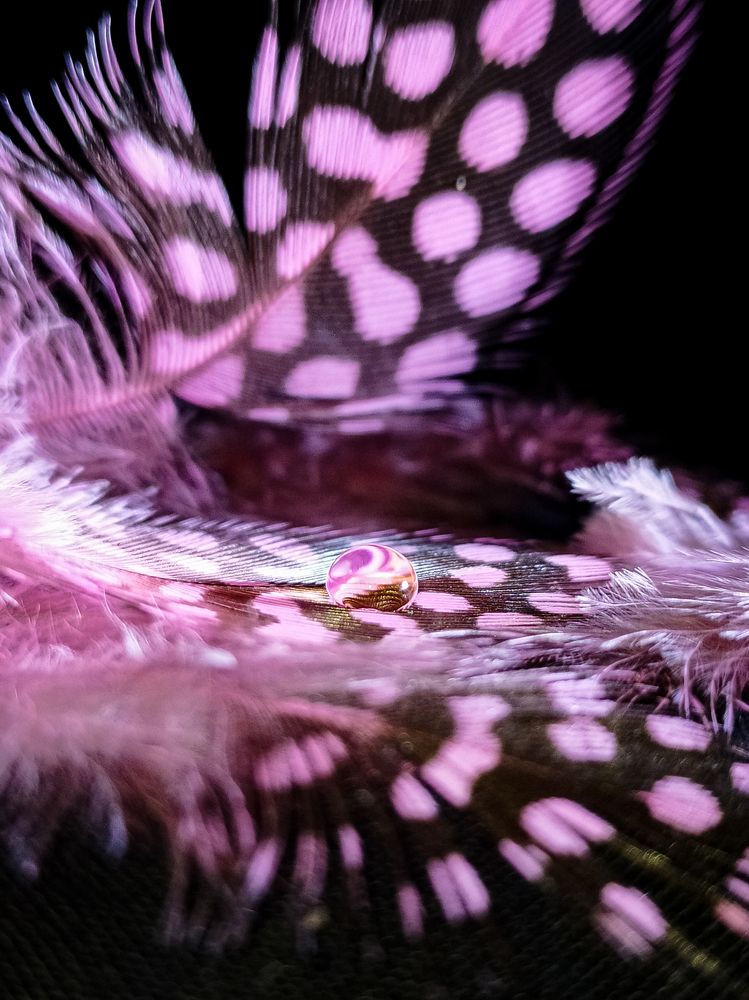 Photograph by Екатерина Зубарева