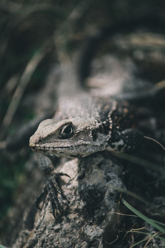 Photograph by Aditya Darmwal