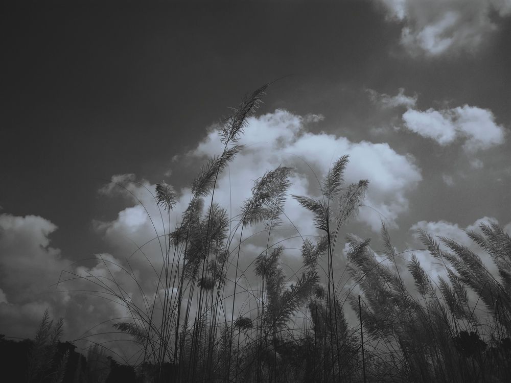 Photo #5655257