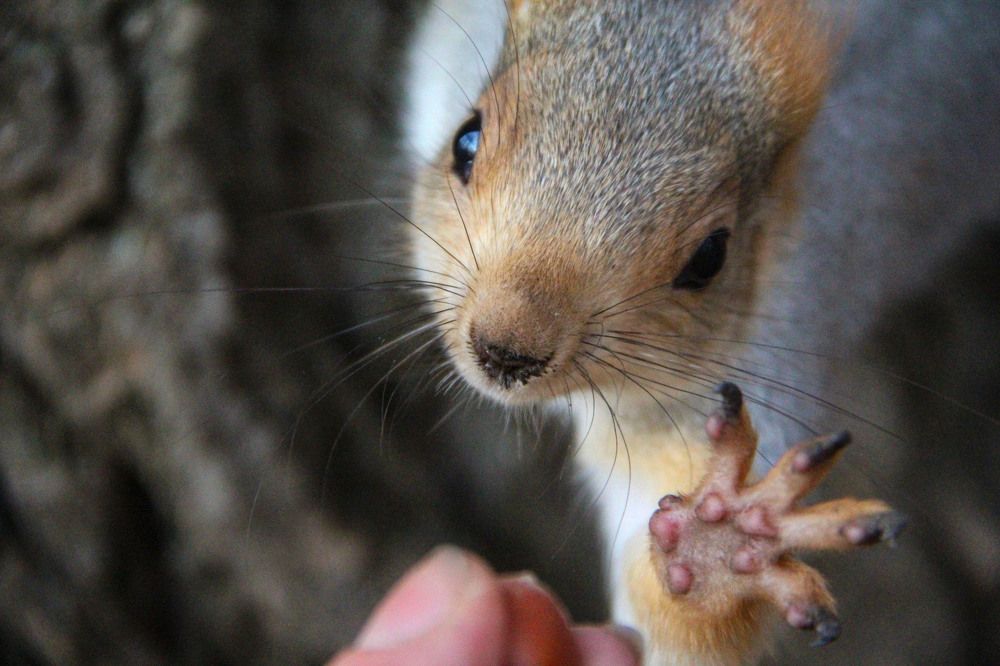 Photograph by Elena Khalizova