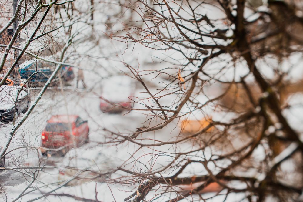 Photograph by Elizaveta Poltavskaia