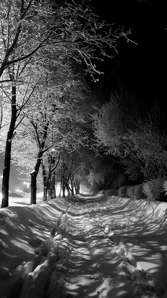 Photograph by Инга Сабанова