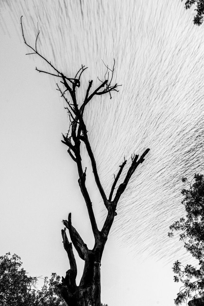 Photograph by Siddharth Rathod