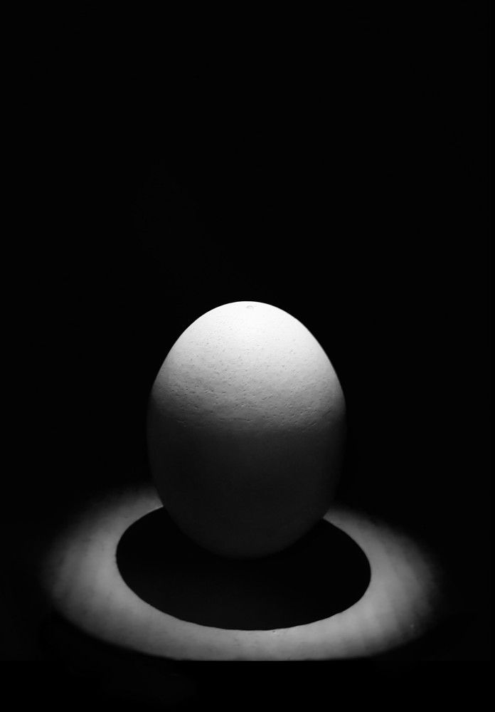 Photograph by Navami Sunil