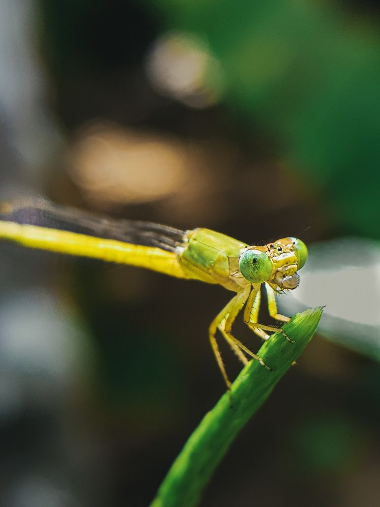 Photograph by Navami Sunil