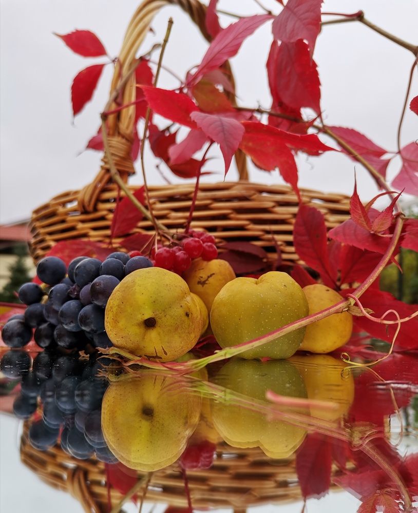 Photograph by Екатерина Исаева