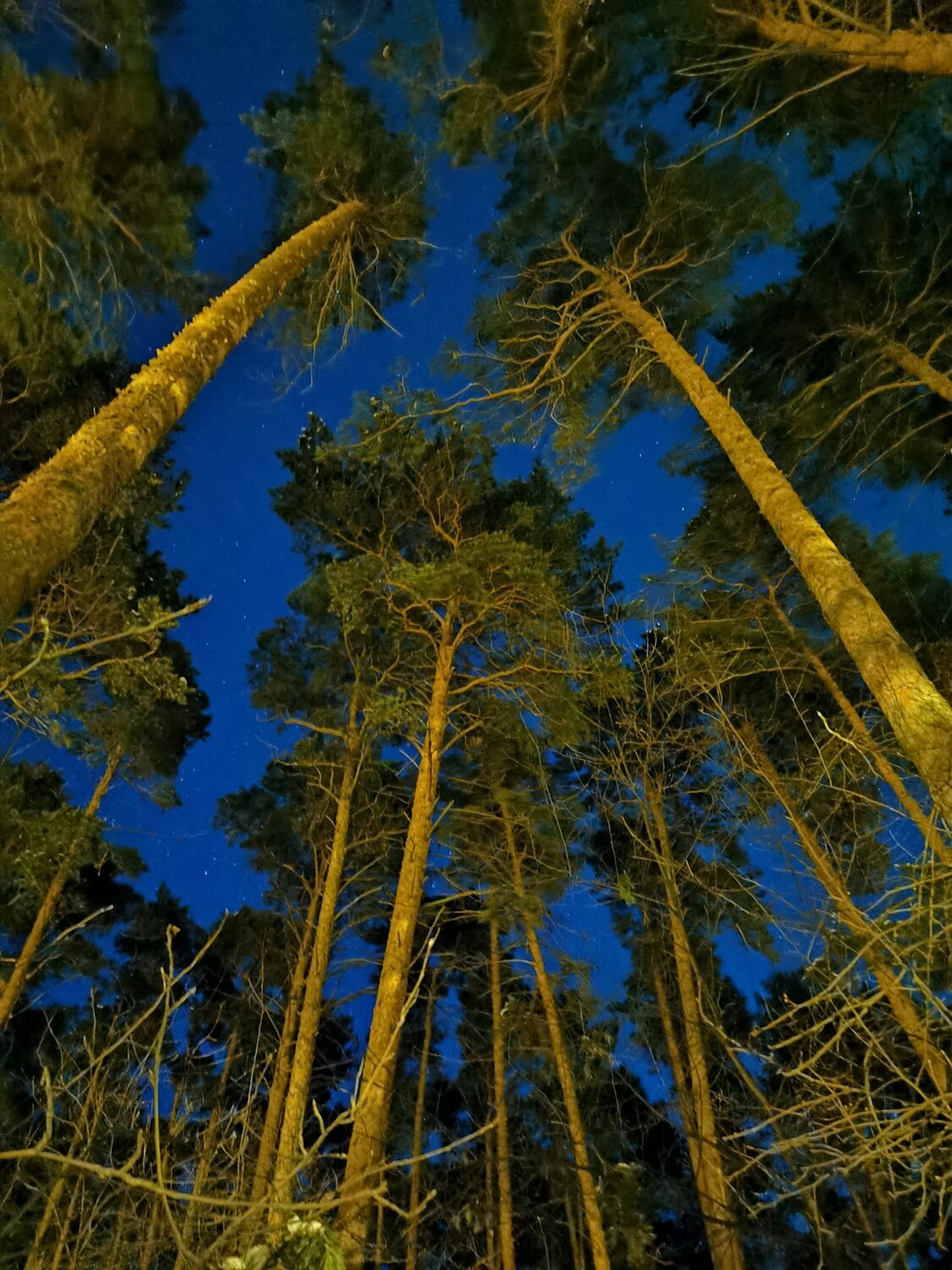 Photo #5655635