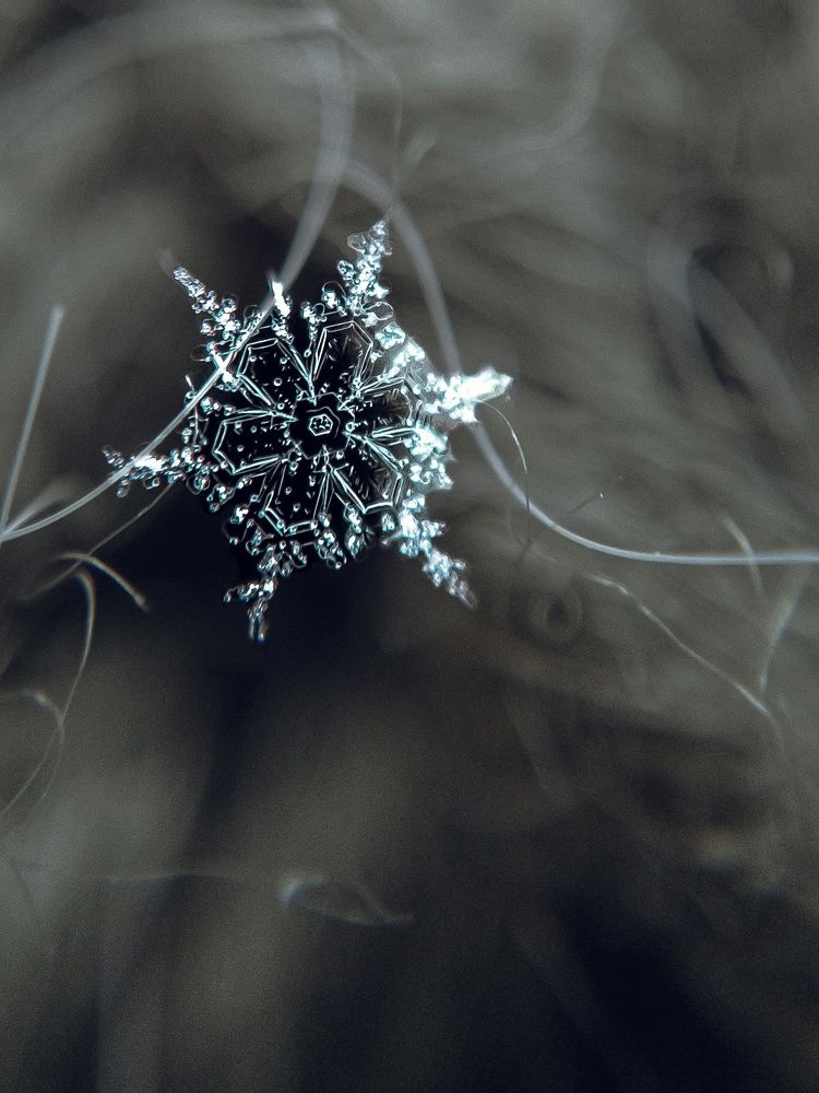 Photograph by Tatyana Belova