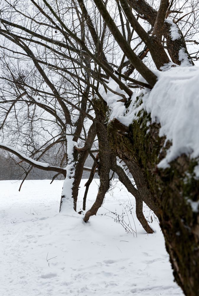 Photograph by Галина Павлова