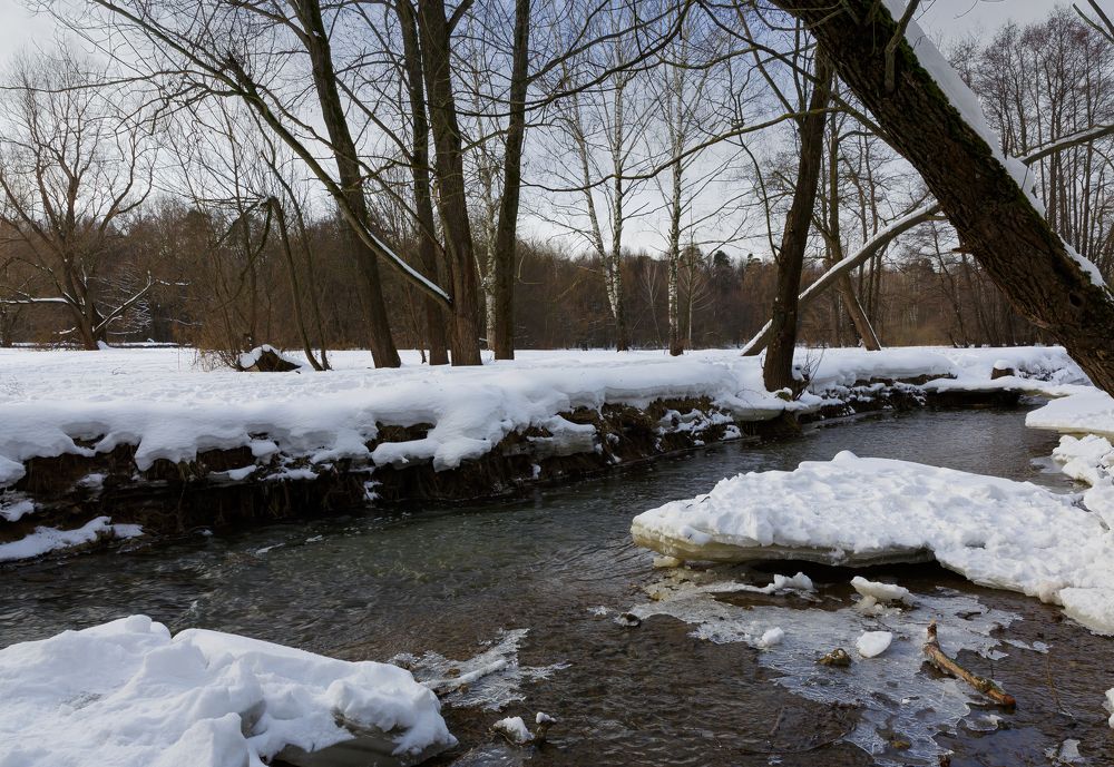 River in the forest in winter
