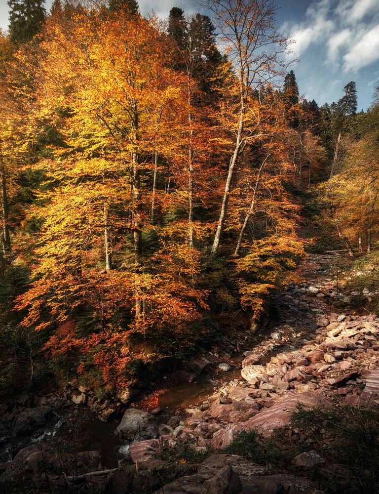 Photograph by Александр Смирнов