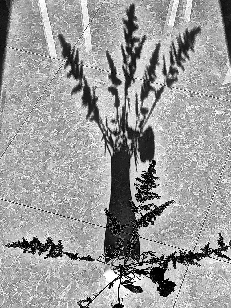 Photograph by Людмила Ефремова