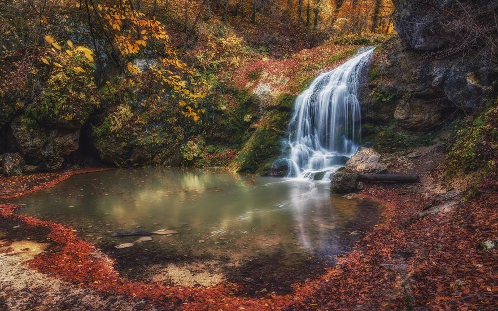 С осенним Шумом...