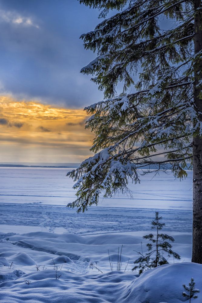 Photograph by Анна Кривицкая