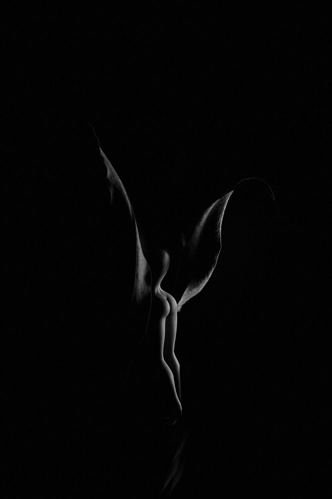 Photograph by Maxim Sayapin