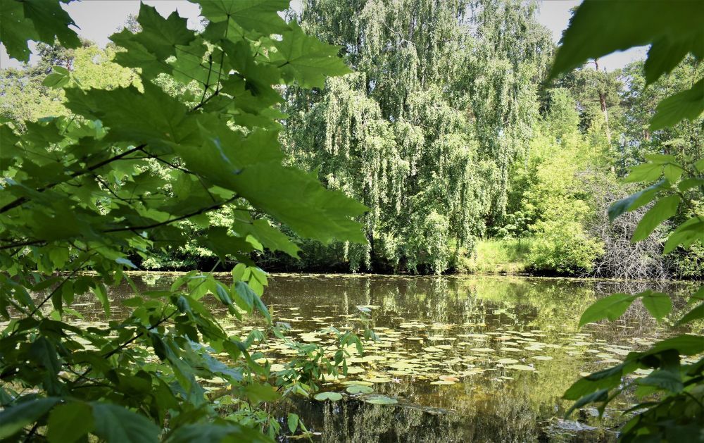 Photograph by Сергей Иванович Носов