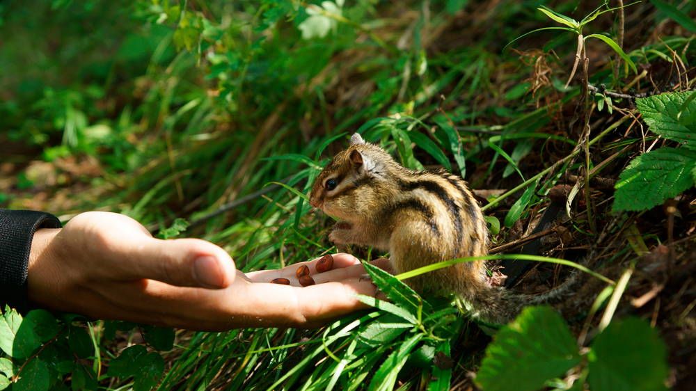 Photograph by Никита Попов