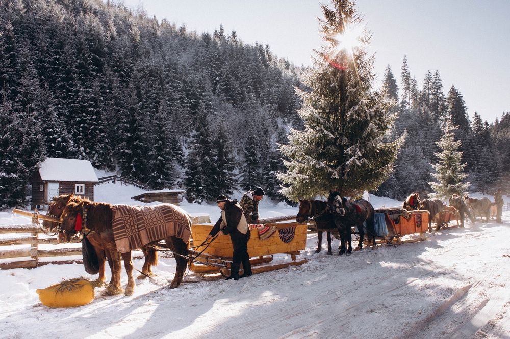 Солнечный зимний день