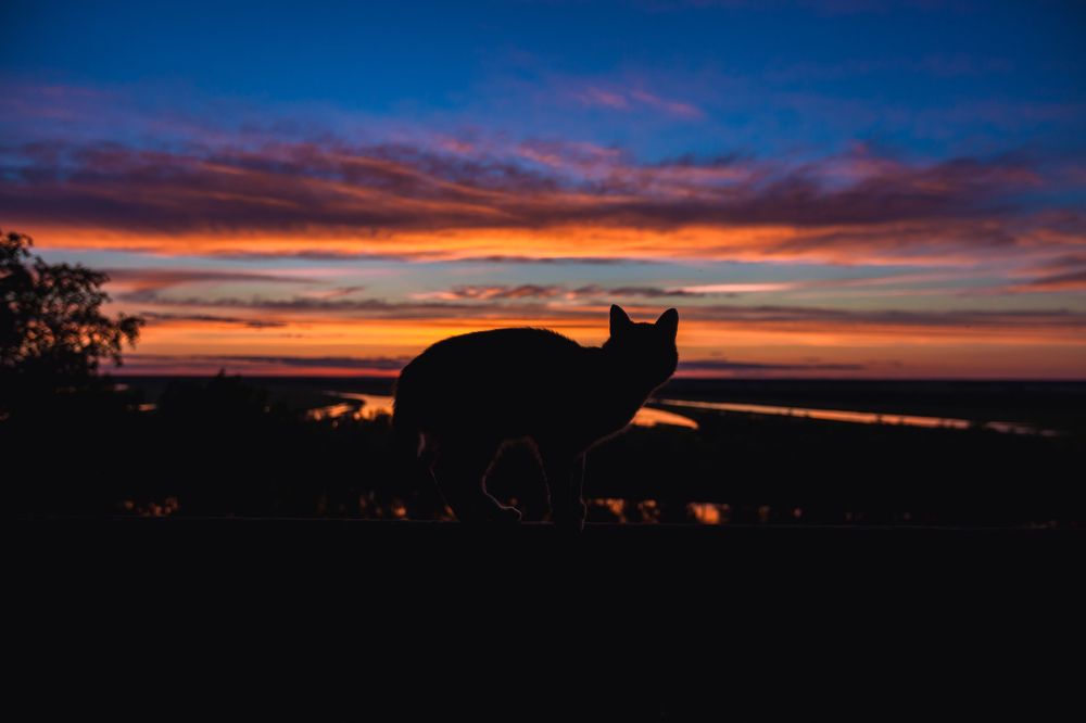 Закат в Белой Веже