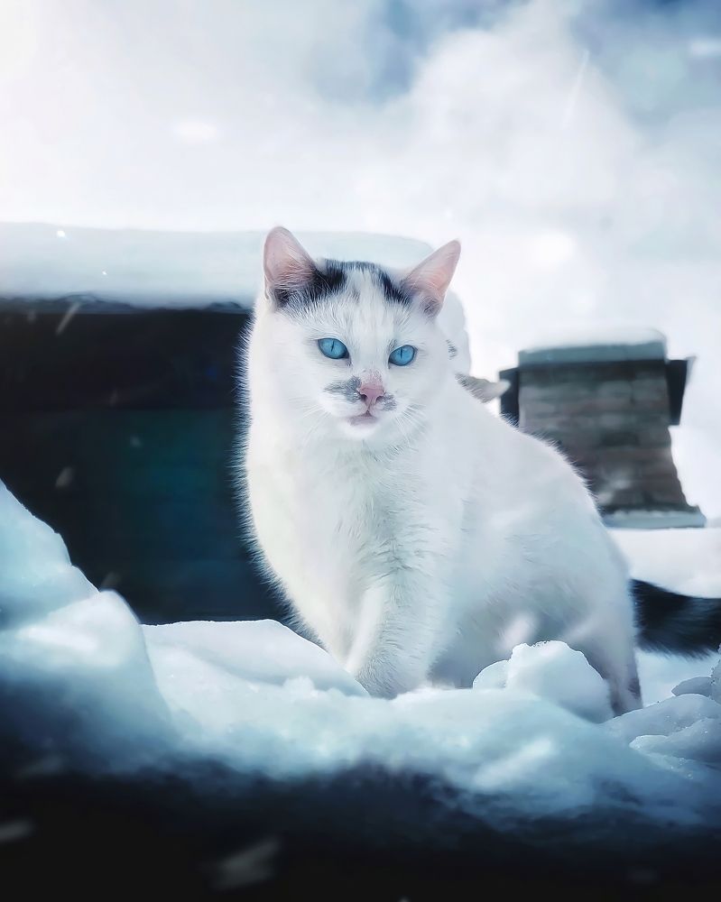 Photograph by Сергей Протасов