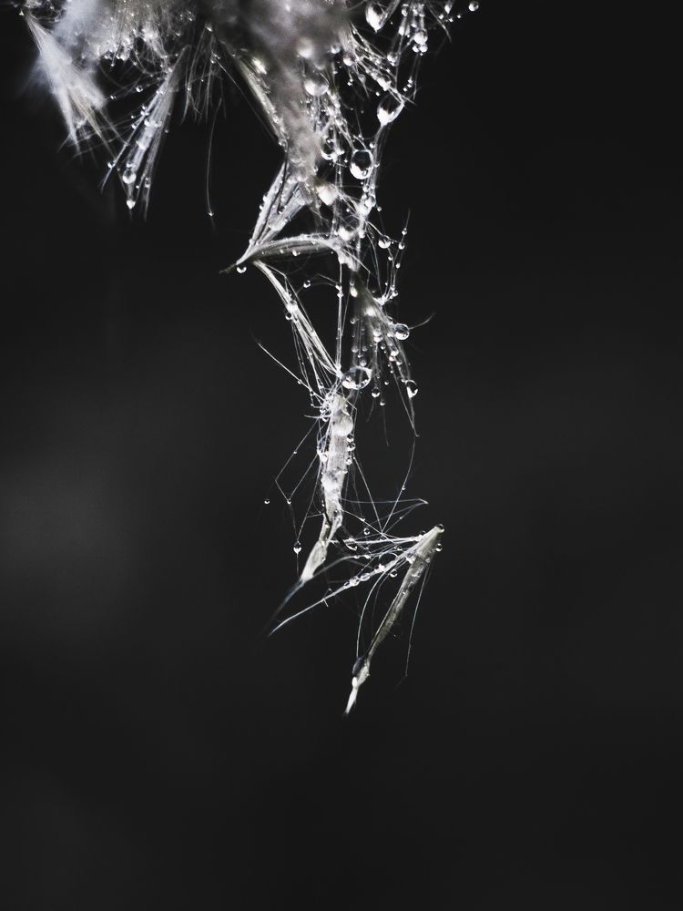 Photograph by Луговская Анастасия